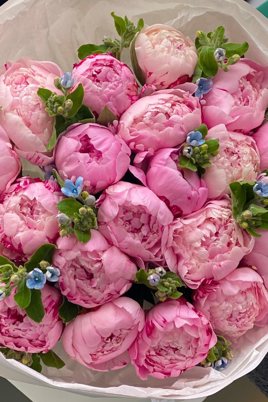 20 Pembe Şakayık Buketi