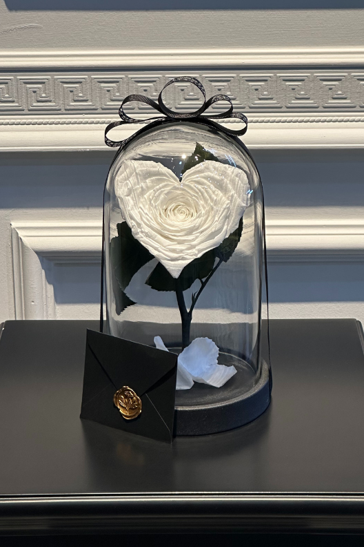 Beyaz Kalp Solmayan Gül