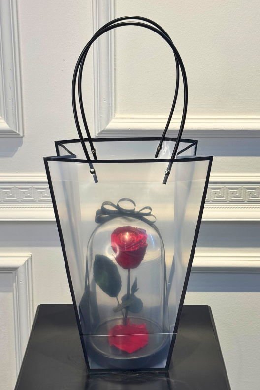 Kırmızı Solmayan Gül