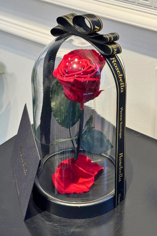 Kırmızı Solmayan Gül