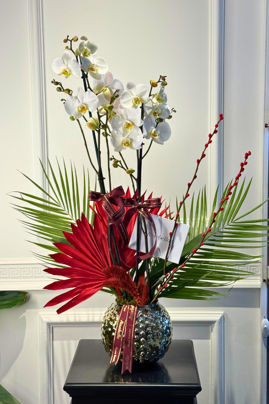 Çift Dallı Beyaz Orkide