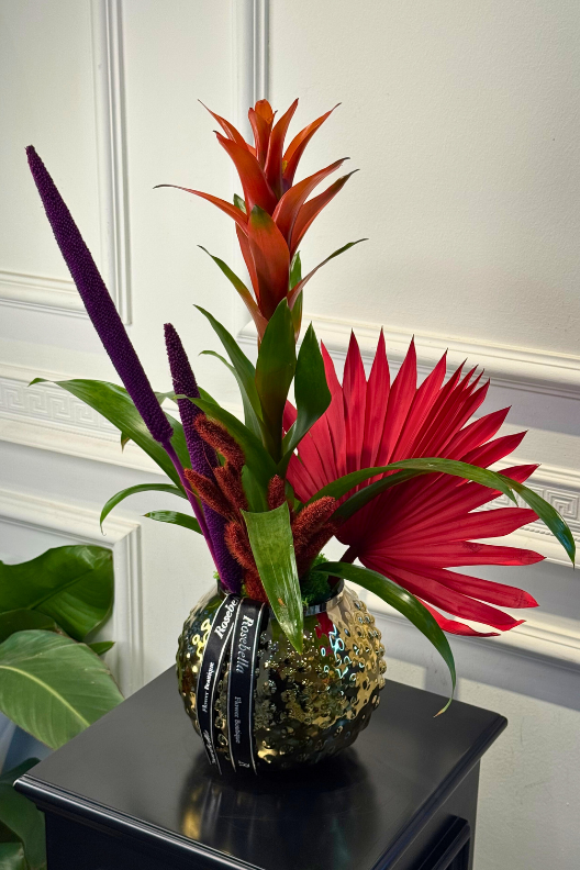 Guzmanya Kırmızı Yıldız Çiçeği