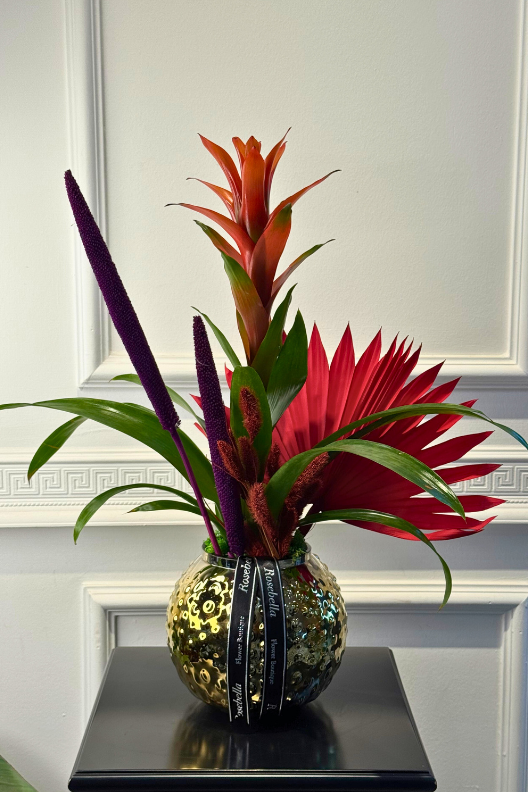 Guzmanya Kırmızı Yıldız Çiçeği