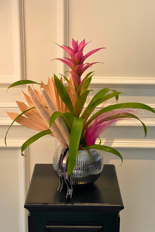 Pembe Guzmanya Çiçeği