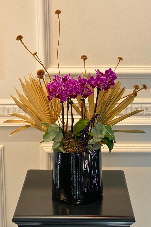 4 Dallı Mini Mor Orkide