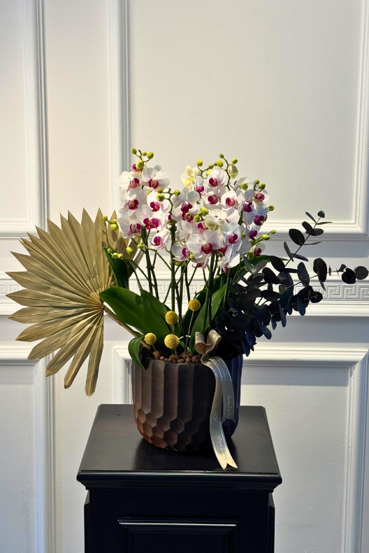 Seramik Vazoda Duetto Orkide