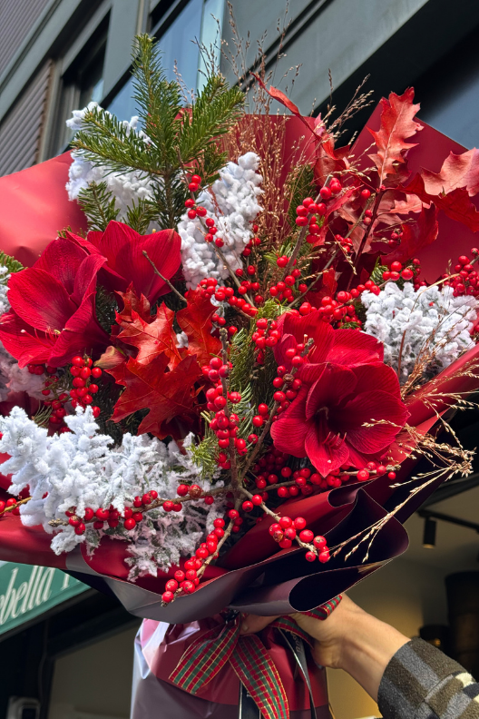 Amaryllis Ilex Buketi