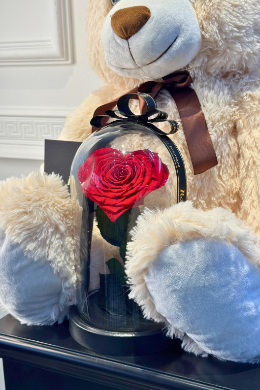 80 cm Krem Peluş Ayıcık Kalpli Solmayan Gül