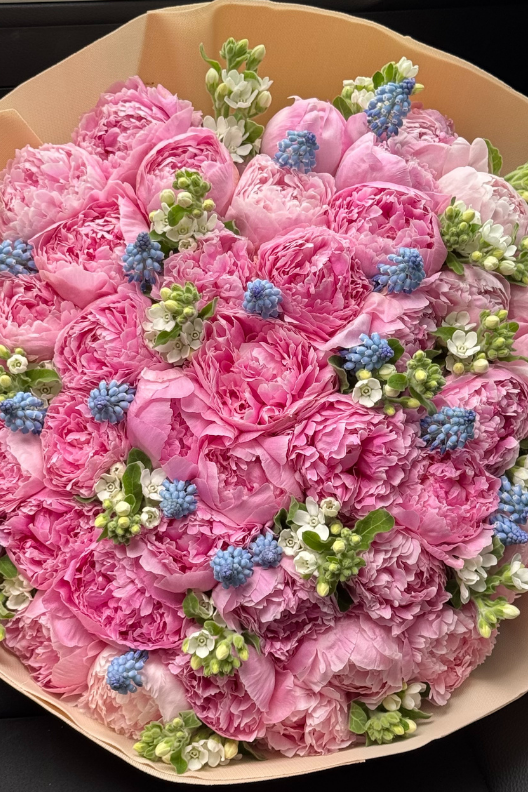 51 Pembe Şakayık Buketi