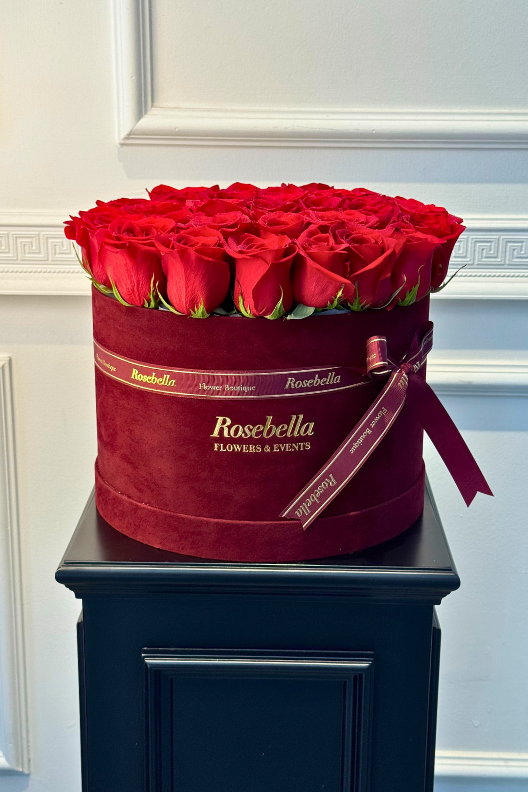 Bordo Kutuda Kırmızı Ekvator Gülleri