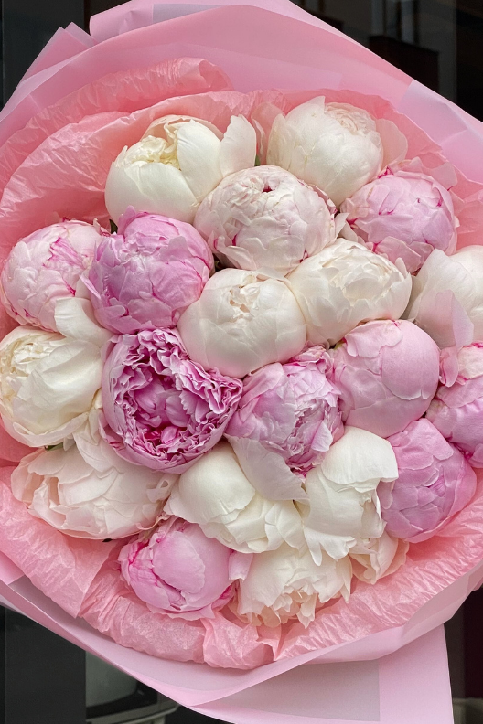 20 Premium Pembe Beyaz Şakayık Buketi