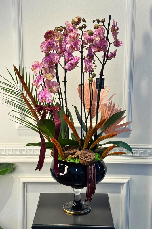 Siyah Cam Kadeh Vazoda Premium 6 Dallı Orkide