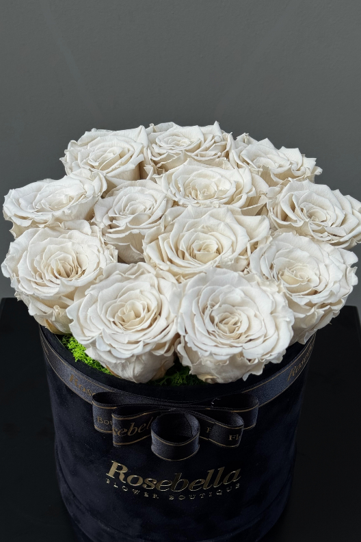 Siyah Kadife Kutuda Kırık Beyaz Solmayan Güller
