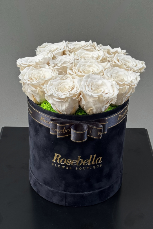 Siyah Kadife Kutuda Kırık Beyaz Solmayan Güller