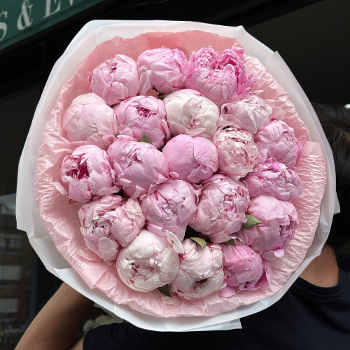 İkonik şakayık buketleri – mevsimin en özel şakayık çiçekleri